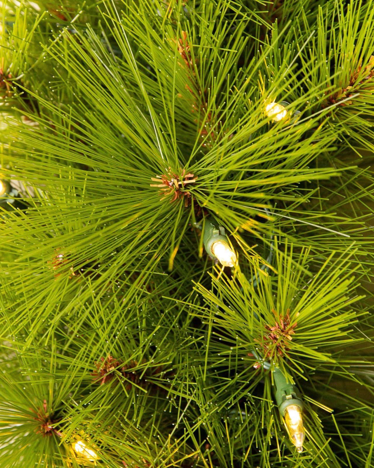 Green Monterey Pine Christmas Tree with Long Branches, Metal Stand and Built-in Micro LEDs