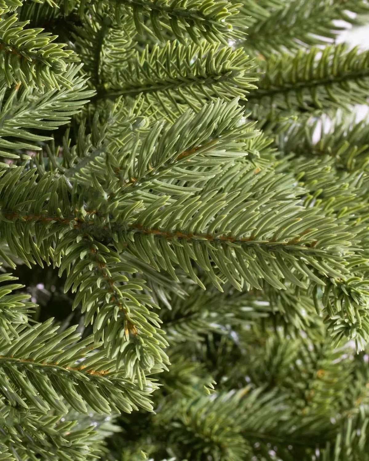Norway Spruce Christmas Tree with Hinged Branches, Metal Stand and Built-in Colorful Micro LEDs